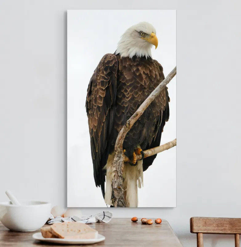 Tablou Canvas, "Vulturul mândru pe creangă înaltă", Vultur, Majestic, Penaj, Crengi, Privire, Natură., 50 x 90 cm – poza 3
