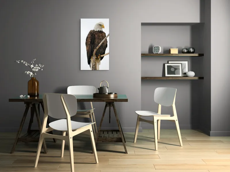 Tablou Canvas, "Vulturul mândru pe creangă înaltă", Vultur, Majestic, Penaj, Crengi, Privire, Natură., 50 x 90 cm – poza 4