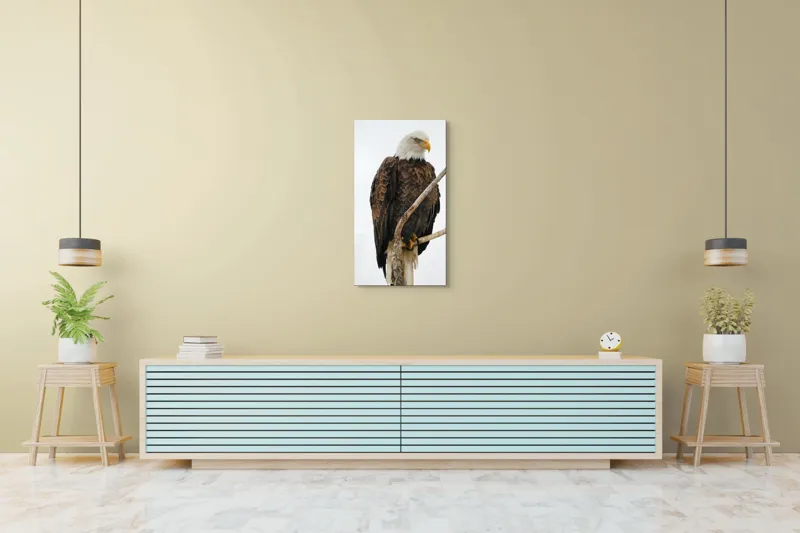 Tablou Canvas, "Vulturul mândru pe creangă înaltă", Vultur, Majestic, Penaj, Crengi, Privire, Natură., 50 x 90 cm – poza 6