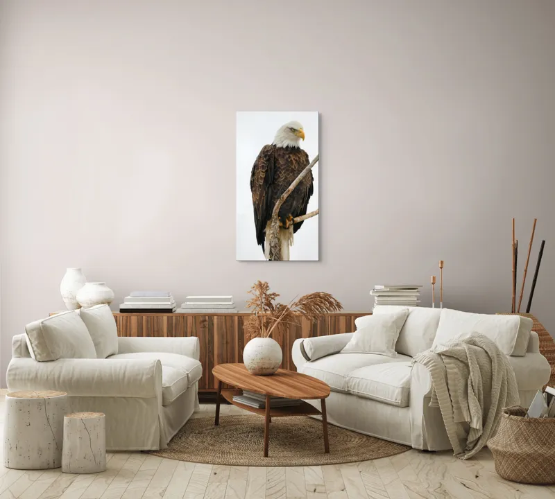 Tablou Canvas, "Vulturul mândru pe creangă înaltă", Vultur, Majestic, Penaj, Crengi, Privire, Natură., 50 x 90 cm – poza 7