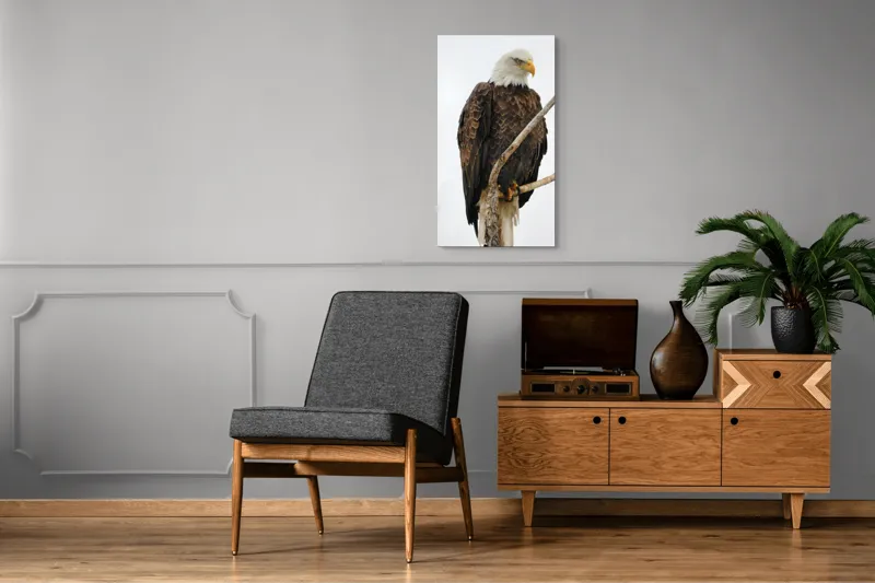 Tablou Canvas, "Vulturul mândru pe creangă înaltă", Vultur, Majestic, Penaj, Crengi, Privire, Natură., 50 x 90 cm – poza 8