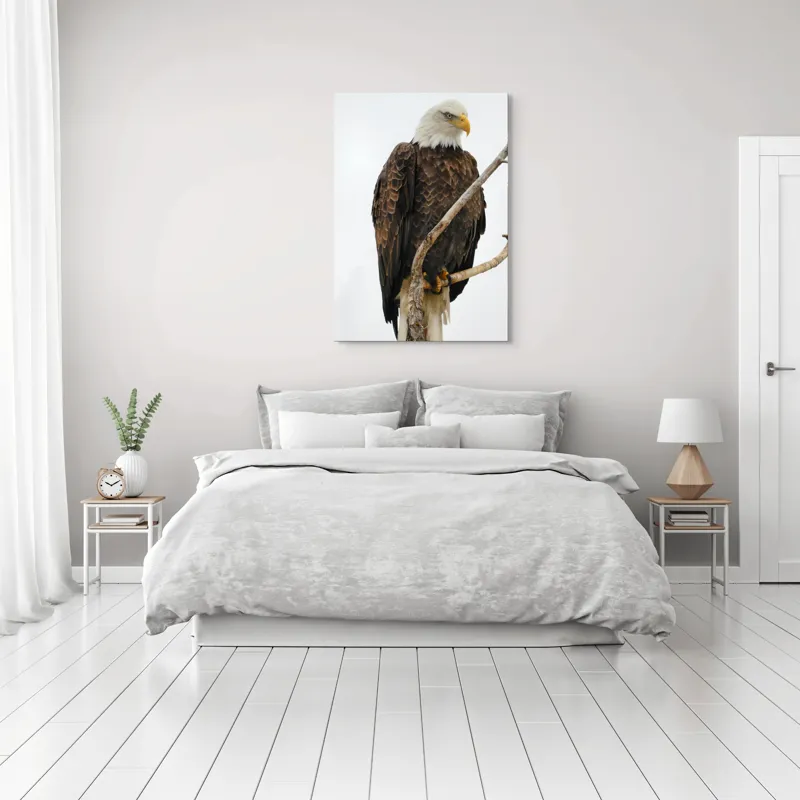 Tablou Canvas, "Vulturul mândru pe creangă înaltă", Vultur, Majestic, Penaj, Crengi, Privire, Natură., 70 x 100 cm – poza 3