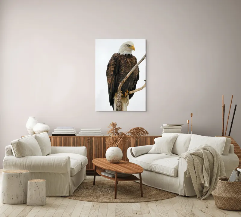 Tablou Canvas, "Vulturul mândru pe creangă înaltă", Vultur, Majestic, Penaj, Crengi, Privire, Natură., 70 x 100 cm – poza 4