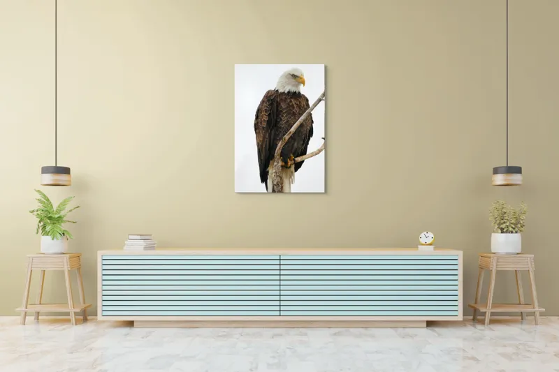 Tablou Canvas, "Vulturul mândru pe creangă înaltă", Vultur, Majestic, Penaj, Crengi, Privire, Natură., 70 x 100 cm – poza 5