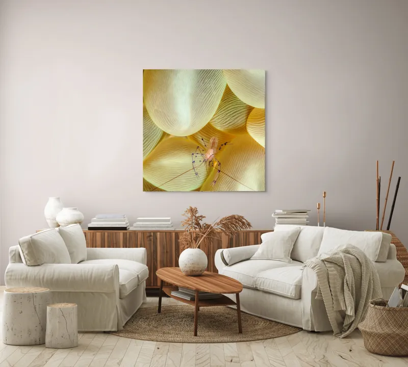 Tablou Canvas, "Crevețel printre corali molatici", Curiozitate, Fragilitate, Ocean, Detaliu, Contrast, Creativitate, Mister, Ecosistem, 100 x 100 cm – poza 3