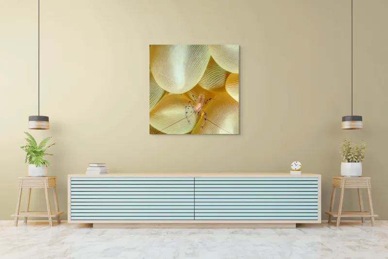 Tablou Canvas, "Crevețel printre corali molatici", Curiozitate, Fragilitate, Ocean, Detaliu, Contrast, Creativitate, Mister, Ecosistem, 100 x 100 cm – poza 5
