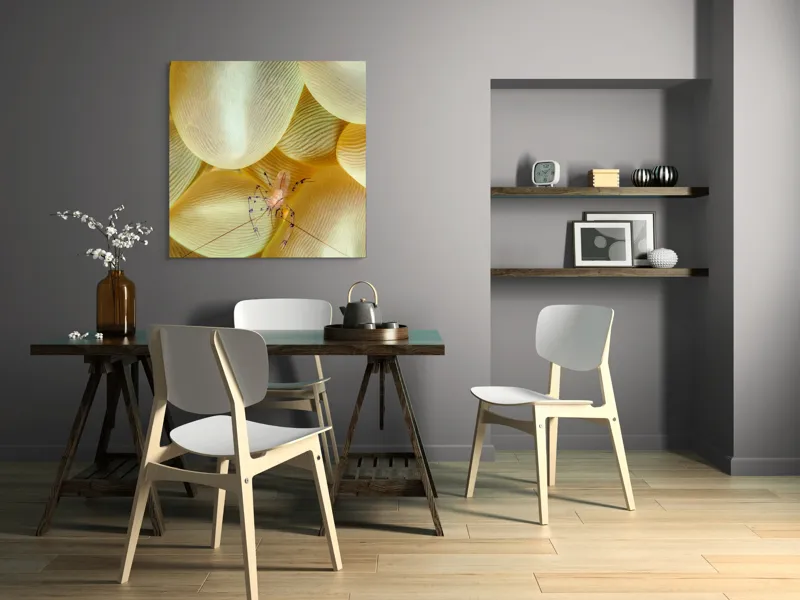 Tablou Canvas, "Crevețel printre corali molatici", Curiozitate, Fragilitate, Ocean, Detaliu, Contrast, Creativitate, Mister, Ecosistem, 100 x 100 cm – poza 6