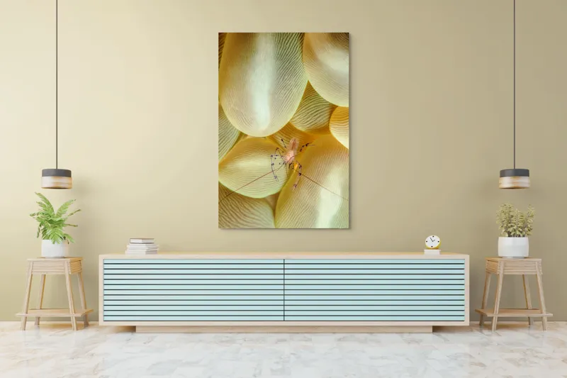 Tablou Canvas, "Crevețel printre corali molatici", Curiozitate, Fragilitate, Ocean, Detaliu, Contrast, Creativitate, Mister, Ecosistem, 100 x 150 cm – poza 4