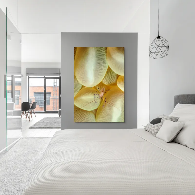 Tablou Canvas, "Crevețel printre corali molatici", Curiozitate, Fragilitate, Ocean, Detaliu, Contrast, Creativitate, Mister, Ecosistem, 100 x 150 cm – poza 5