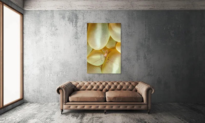 Tablou Canvas, "Crevețel printre corali molatici", Curiozitate, Fragilitate, Ocean, Detaliu, Contrast, Creativitate, Mister, Ecosistem, 100 x 150 cm – poza 6