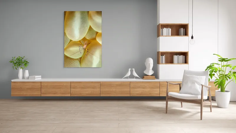 Tablou Canvas, "Crevețel printre corali molatici", Curiozitate, Fragilitate, Ocean, Detaliu, Contrast, Creativitate, Mister, Ecosistem, 100 x 150 cm – poza 8