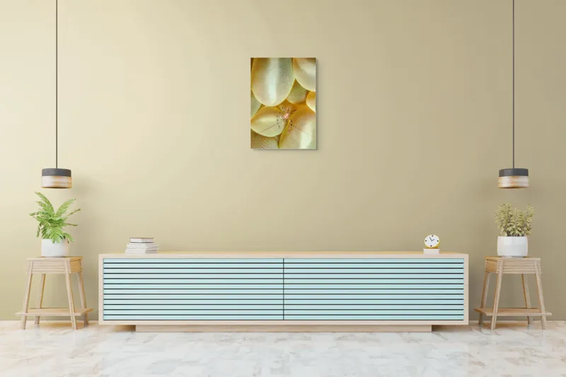 Tablou Canvas, "Crevețel printre corali molatici", Curiozitate, Fragilitate, Ocean, Detaliu, Contrast, Creativitate, Mister, Ecosistem, 50 x 70 cm – poza 6