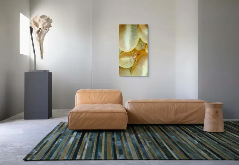 Tablou Canvas, "Crevețel printre corali molatici", Curiozitate, Fragilitate, Ocean, Detaliu, Contrast, Creativitate, Mister, Ecosistem, 50 x 90 cm – poza 5