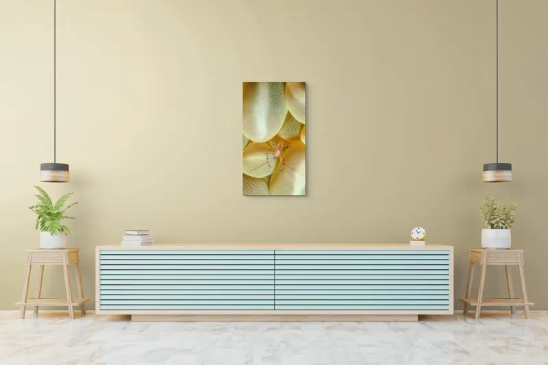 Tablou Canvas, "Crevețel printre corali molatici", Curiozitate, Fragilitate, Ocean, Detaliu, Contrast, Creativitate, Mister, Ecosistem, 50 x 90 cm – poza 6