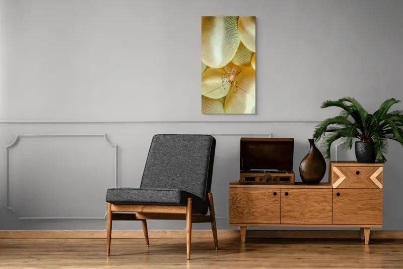 Tablou Canvas, "Crevețel printre corali molatici", Curiozitate, Fragilitate, Ocean, Detaliu, Contrast, Creativitate, Mister, Ecosistem, 50 x 90 cm – poza 8