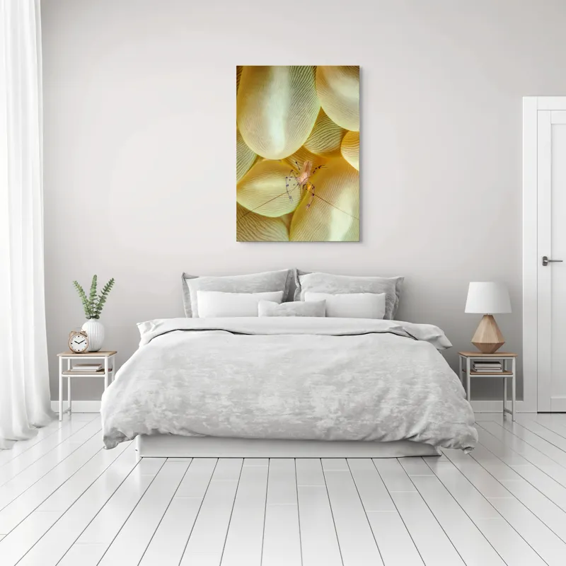 Tablou Canvas, "Crevețel printre corali molatici", Curiozitate, Fragilitate, Ocean, Detaliu, Contrast, Creativitate, Mister, Ecosistem, 70 x 100 cm – poza 3
