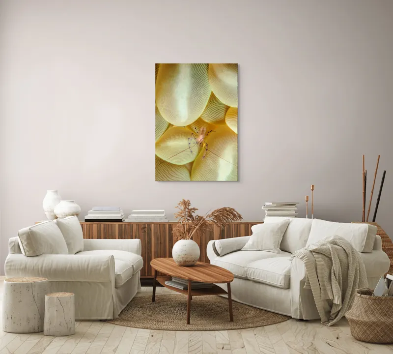 Tablou Canvas, "Crevețel printre corali molatici", Curiozitate, Fragilitate, Ocean, Detaliu, Contrast, Creativitate, Mister, Ecosistem, 70 x 100 cm – poza 4