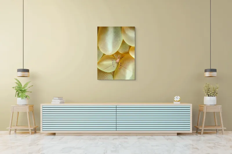Tablou Canvas, "Crevețel printre corali molatici", Curiozitate, Fragilitate, Ocean, Detaliu, Contrast, Creativitate, Mister, Ecosistem, 70 x 100 cm – poza 5