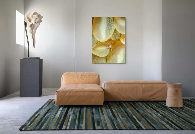 Tablou Canvas, "Crevețel printre corali molatici", Curiozitate, Fragilitate, Ocean, Detaliu, Contrast, Creativitate, Mister, Ecosistem, 70 x 100 cm – poza 7