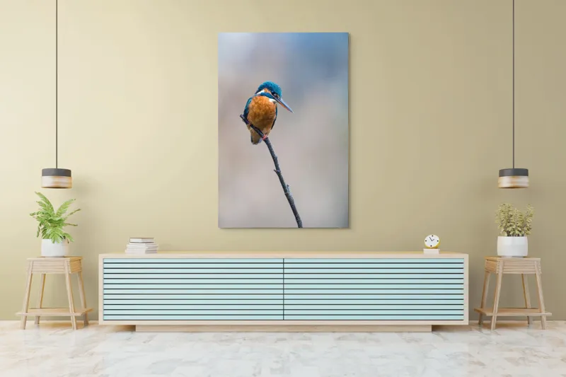 Tablou Canvas, "Mic pescarus albastru pe ramură subțire", Pescăruș, Ramură, Penaj, Natură, Vedere, Păsări, Liniște, Albastru, Contrast, Frumusețe, 100 x 150 cm – poza 4