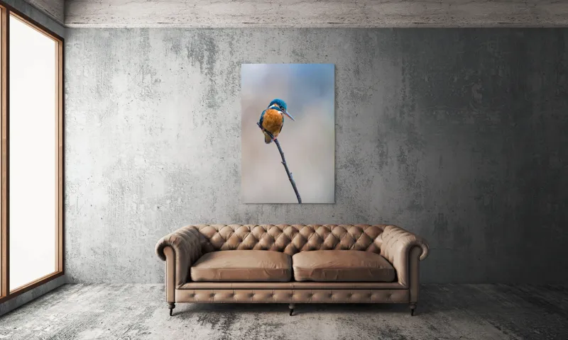 Tablou Canvas, "Mic pescarus albastru pe ramură subțire", Pescăruș, Ramură, Penaj, Natură, Vedere, Păsări, Liniște, Albastru, Contrast, Frumusețe, 100 x 150 cm – poza 6