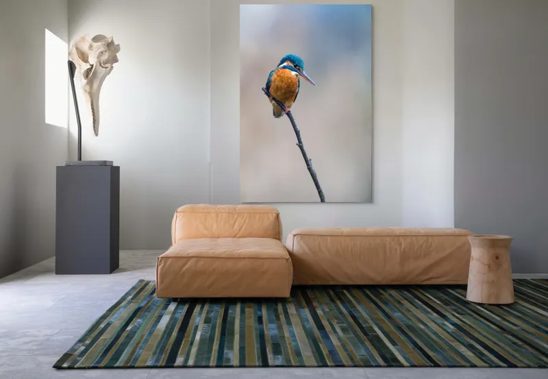 Tablou Canvas, "Mic pescarus albastru pe ramură subțire", Pescăruș, Ramură, Penaj, Natură, Vedere, Păsări, Liniște, Albastru, Contrast, Frumusețe, 100 x 150 cm – poza 7