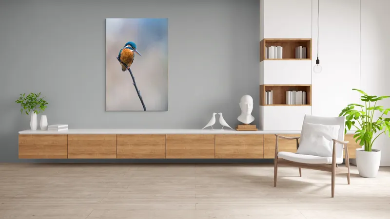 Tablou Canvas, "Mic pescarus albastru pe ramură subțire", Pescăruș, Ramură, Penaj, Natură, Vedere, Păsări, Liniște, Albastru, Contrast, Frumusețe, 100 x 150 cm – poza 8