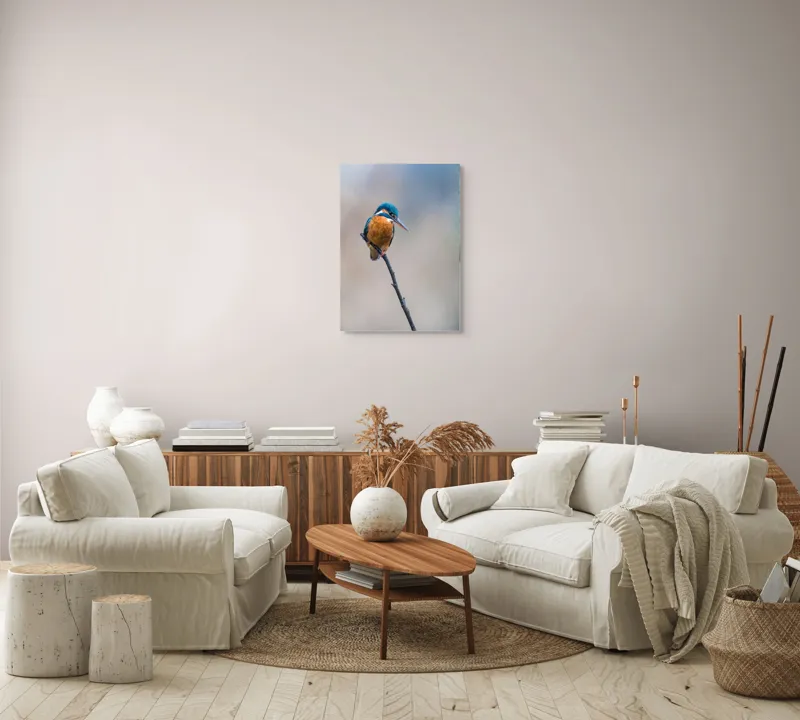 Tablou Canvas, "Mic pescarus albastru pe ramură subțire", Pescăruș, Ramură, Penaj, Natură, Vedere, Păsări, Liniște, Albastru, Contrast, Frumusețe, 50 x 70 cm – poza 4