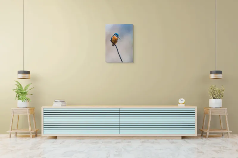 Tablou Canvas, "Mic pescarus albastru pe ramură subțire", Pescăruș, Ramură, Penaj, Natură, Vedere, Păsări, Liniște, Albastru, Contrast, Frumusețe, 50 x 70 cm – poza 6