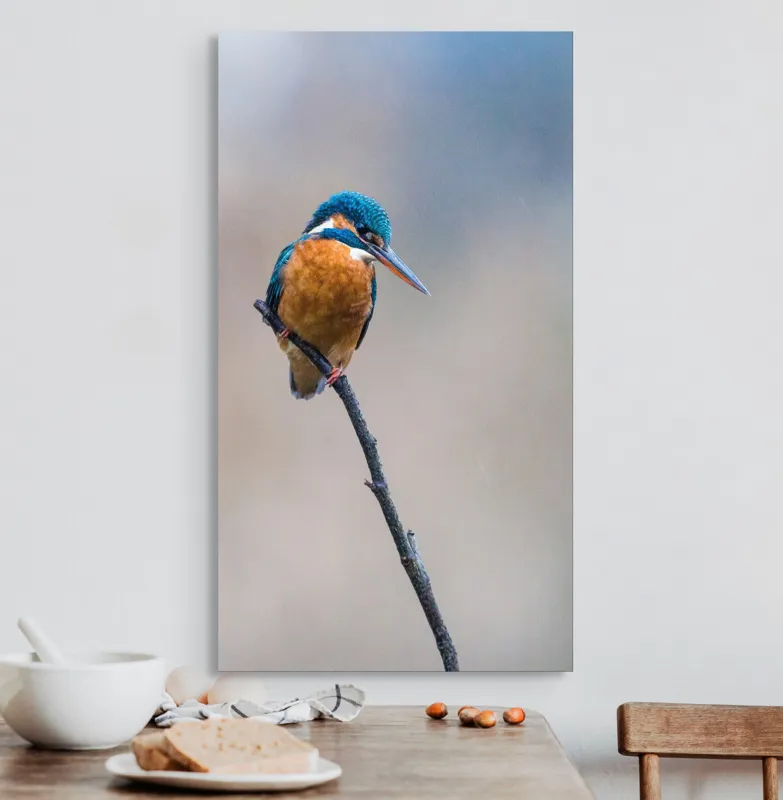 Tablou Canvas, "Mic pescarus albastru pe ramură subțire", Pescăruș, Ramură, Penaj, Natură, Vedere, Păsări, Liniște, Albastru, Contrast, Frumusețe, 50 x 90 cm – poza 3
