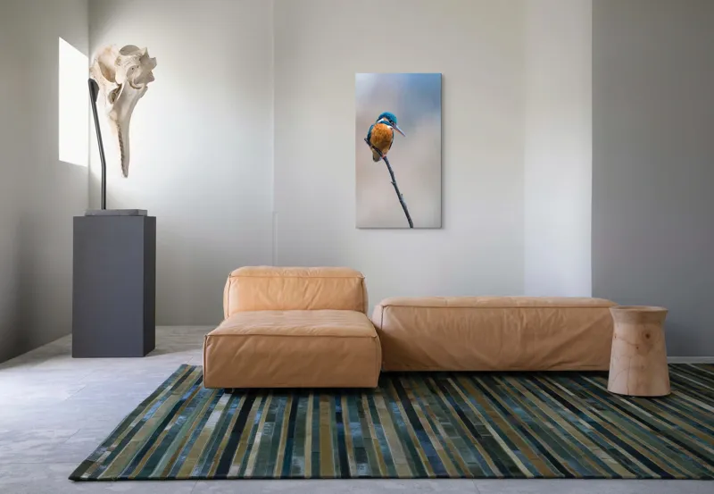 Tablou Canvas, "Mic pescarus albastru pe ramură subțire", Pescăruș, Ramură, Penaj, Natură, Vedere, Păsări, Liniște, Albastru, Contrast, Frumusețe, 50 x 90 cm – poza 5