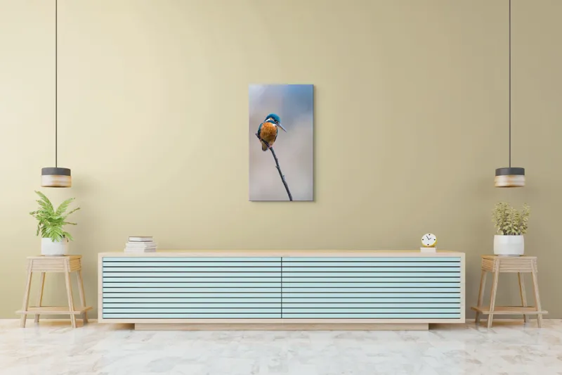Tablou Canvas, "Mic pescarus albastru pe ramură subțire", Pescăruș, Ramură, Penaj, Natură, Vedere, Păsări, Liniște, Albastru, Contrast, Frumusețe, 50 x 90 cm – poza 6
