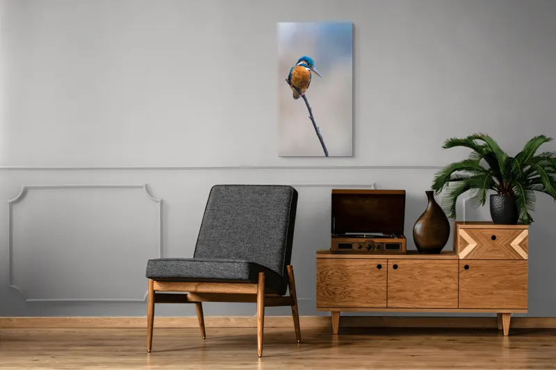Tablou Canvas, "Mic pescarus albastru pe ramură subțire", Pescăruș, Ramură, Penaj, Natură, Vedere, Păsări, Liniște, Albastru, Contrast, Frumusețe, 50 x 90 cm – poza 8