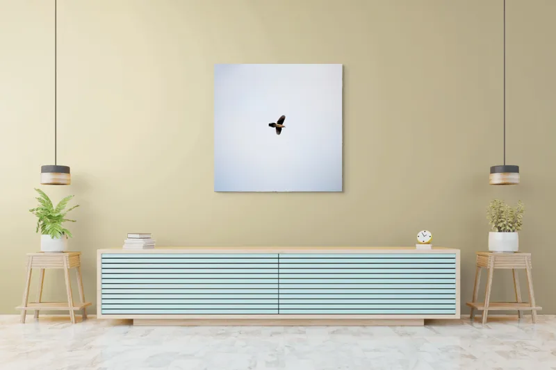 Tablou Canvas, "Pasărea în zbor spre zare", Pasăre, Cer, Vedere, Zbor, Aripi, Singurătate, Liniște, Înalțime, 100 x 100 cm – poza 5