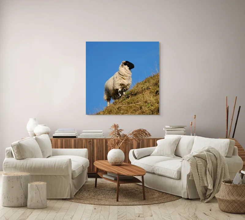 Tablou Canvas, "Oaie pe culmea dealului verde", Oi, Deal, Cer, Albastru, Iarbă, Soare, Liniște, Natură, 100 x 100 cm – poza 3