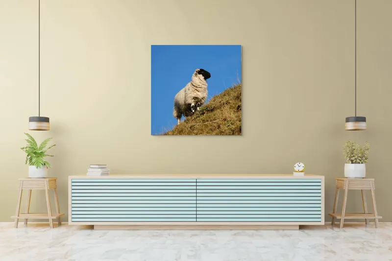 Tablou Canvas, "Oaie pe culmea dealului verde", Oi, Deal, Cer, Albastru, Iarbă, Soare, Liniște, Natură, 100 x 100 cm – poza 5