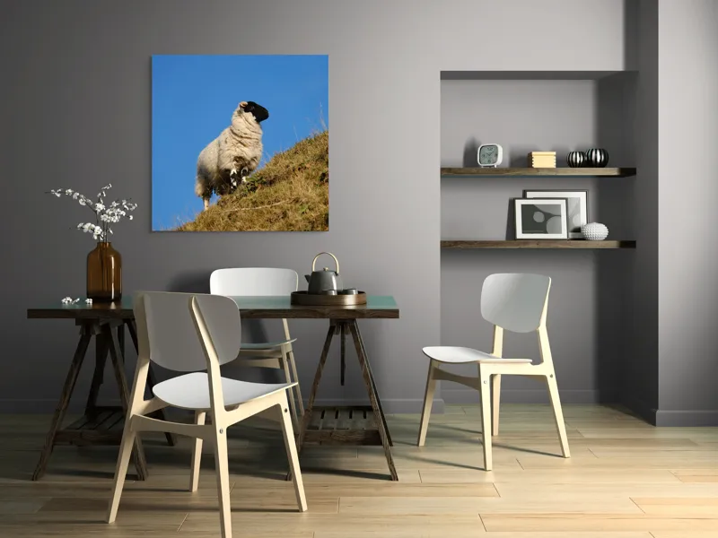 Tablou Canvas, "Oaie pe culmea dealului verde", Oi, Deal, Cer, Albastru, Iarbă, Soare, Liniște, Natură, 100 x 100 cm – poza 6