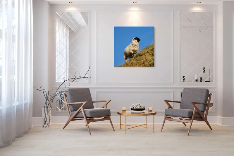Tablou Canvas, "Oaie pe culmea dealului verde", Oi, Deal, Cer, Albastru, Iarbă, Soare, Liniște, Natură, 100 x 100 cm – poza 7