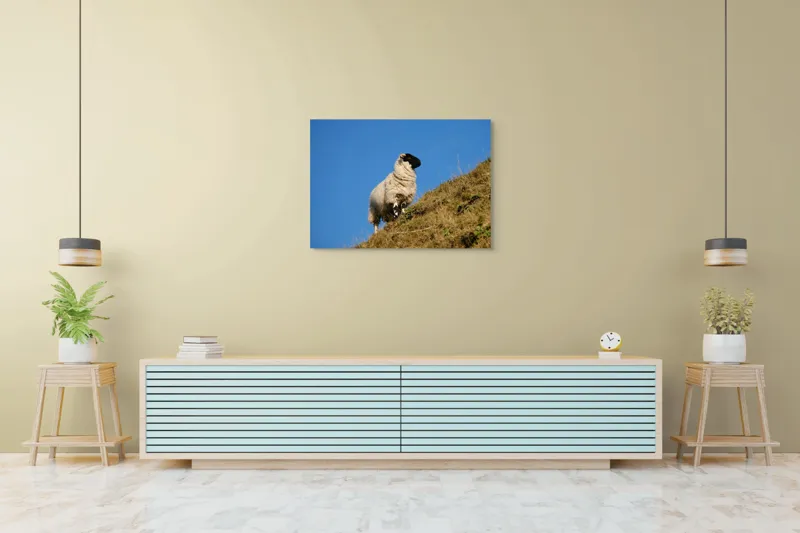Tablou Canvas, "Oaie pe culmea dealului verde", Oi, Deal, Cer, Albastru, Iarbă, Soare, Liniște, Natură, 100 x 70 cm – poza 4