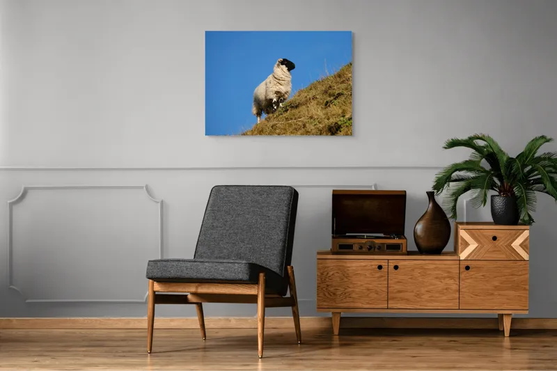 Tablou Canvas, "Oaie pe culmea dealului verde", Oi, Deal, Cer, Albastru, Iarbă, Soare, Liniște, Natură, 100 x 70 cm – poza 8