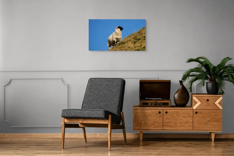 Tablou Canvas, "Oaie pe culmea dealului verde", Oi, Deal, Cer, Albastru, Iarbă, Soare, Liniște, Natură, 90 x 50 cm – poza 6