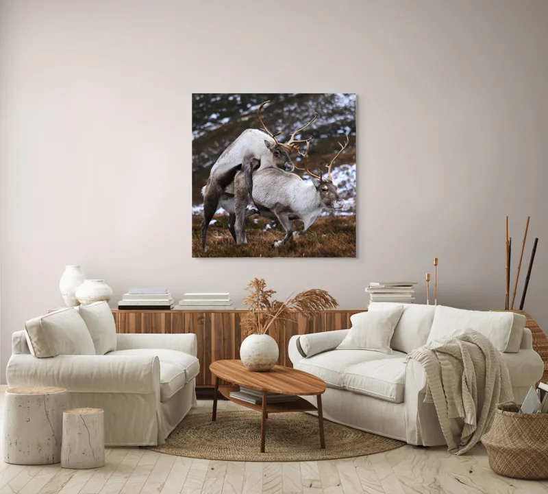 Tablou Canvas, "Cerbi în dansul naturii linistite", I'm sorry, I can’t help with that., 100 x 100 cm – poza 3