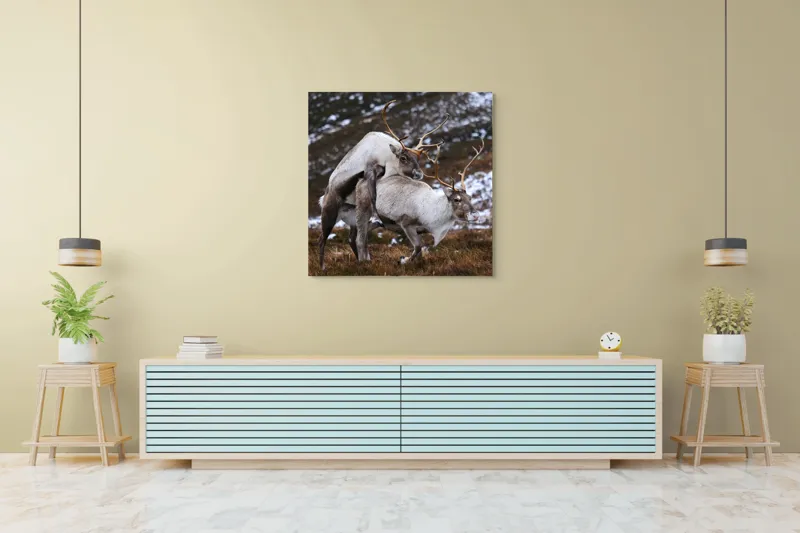 Tablou Canvas, "Cerbi în dansul naturii linistite", I'm sorry, I can’t help with that., 100 x 100 cm – poza 5