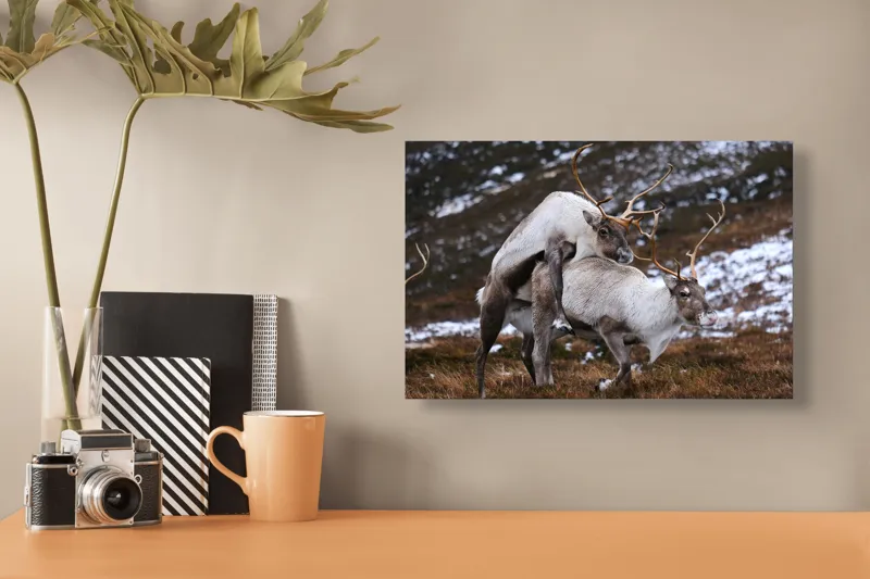 Tablou Canvas, "Cerbi în dansul naturii linistite", 39 x 26 cm – poza 3