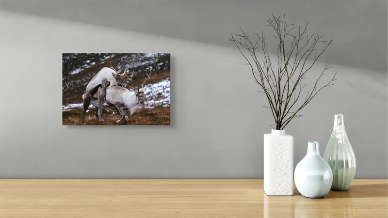 Tablou Canvas, "Cerbi în dansul naturii linistite", 39 x 26 cm – poza 8