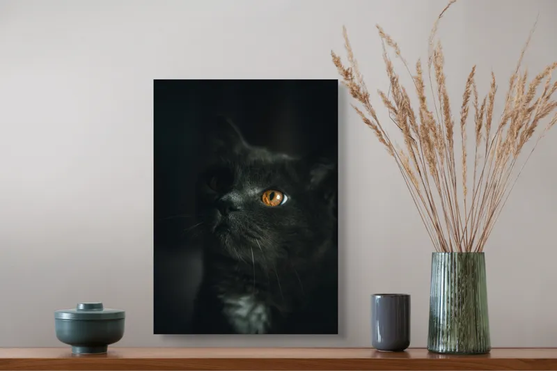 Tablou Canvas, "Privirea enigmatică a pisicii negre", Mister, Eleganță, Privire, Pisică, Întuneric, Blană, Ochii, Misterios, 39 x 54 cm – poza 3