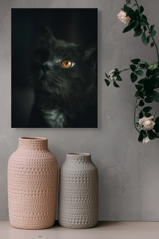 Tablou Canvas, "Privirea enigmatică a pisicii negre", Mister, Eleganță, Privire, Pisică, Întuneric, Blană, Ochii, Misterios, 39 x 54 cm – poza 6