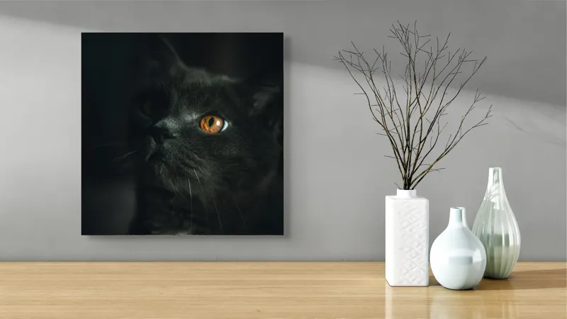 Tablou Canvas, "Privirea enigmatică a pisicii negre", Mister, Eleganță, Privire, Pisică, Întuneric, Blană, Ochii, Misterios, 50 x 50 cm – poza 3