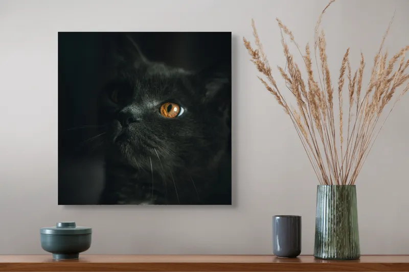 Tablou Canvas, "Privirea enigmatică a pisicii negre", Mister, Eleganță, Privire, Pisică, Întuneric, Blană, Ochii, Misterios, 50 x 50 cm – poza 4