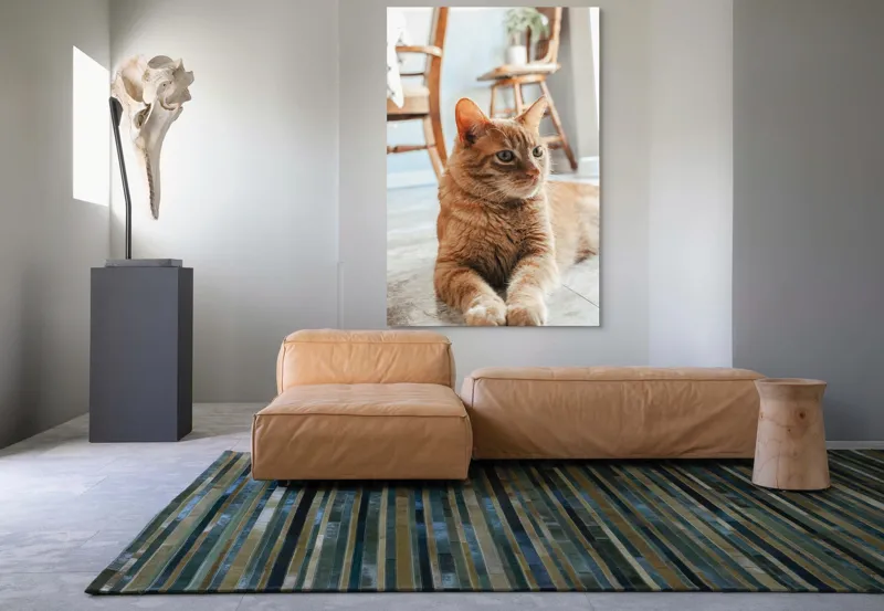 Tablou Canvas, "Pisica relaxată pe podea senină", Pisică, Portocalie, Ochi, Blană, Mobila, Pardoseală, Plante., 100 x 150 cm – poza 7